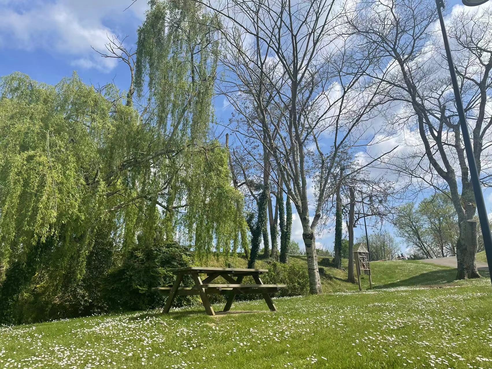 Continuer mon aventure à SainteChristie d'Armagnac Insite