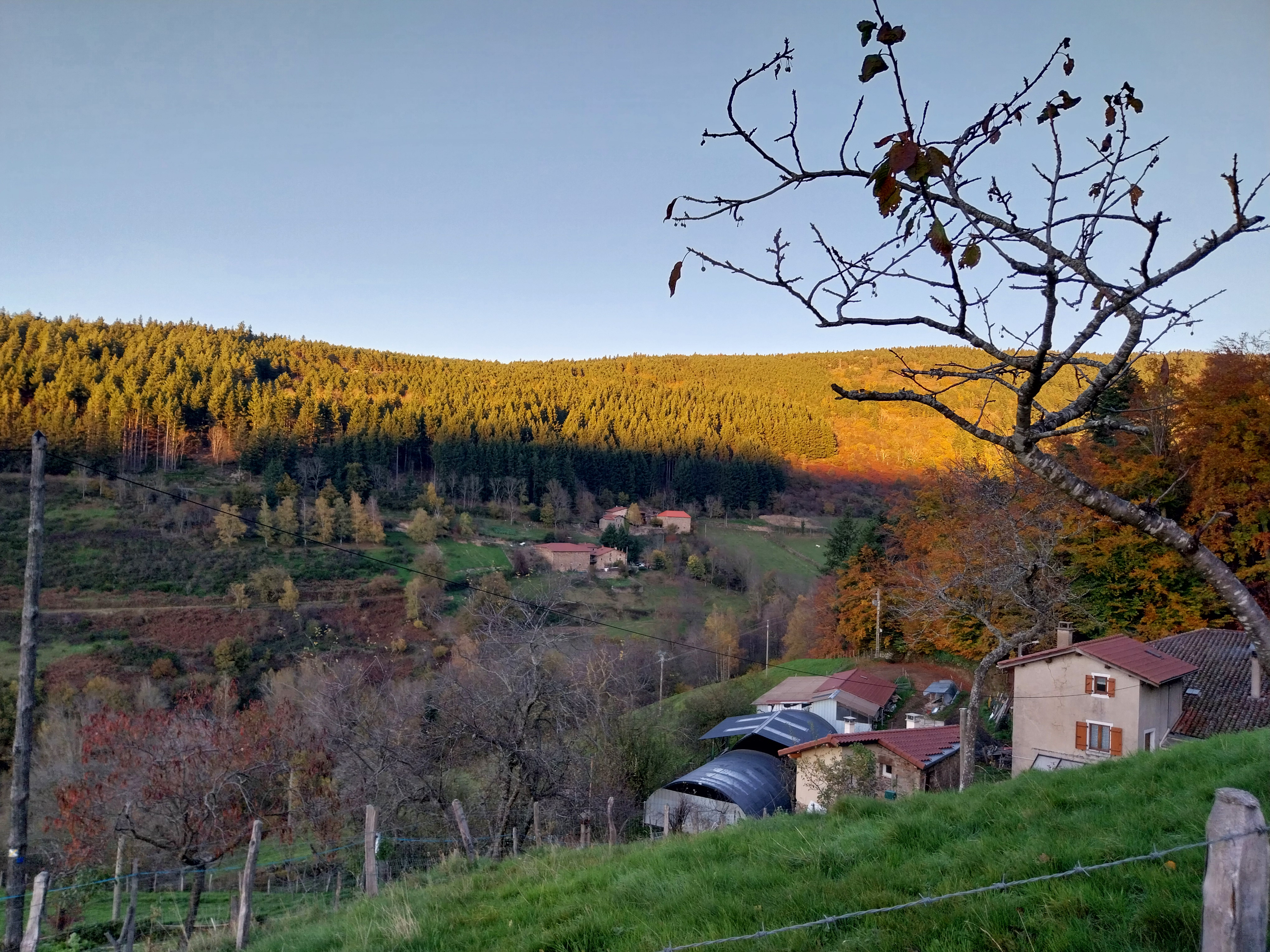 Paysage