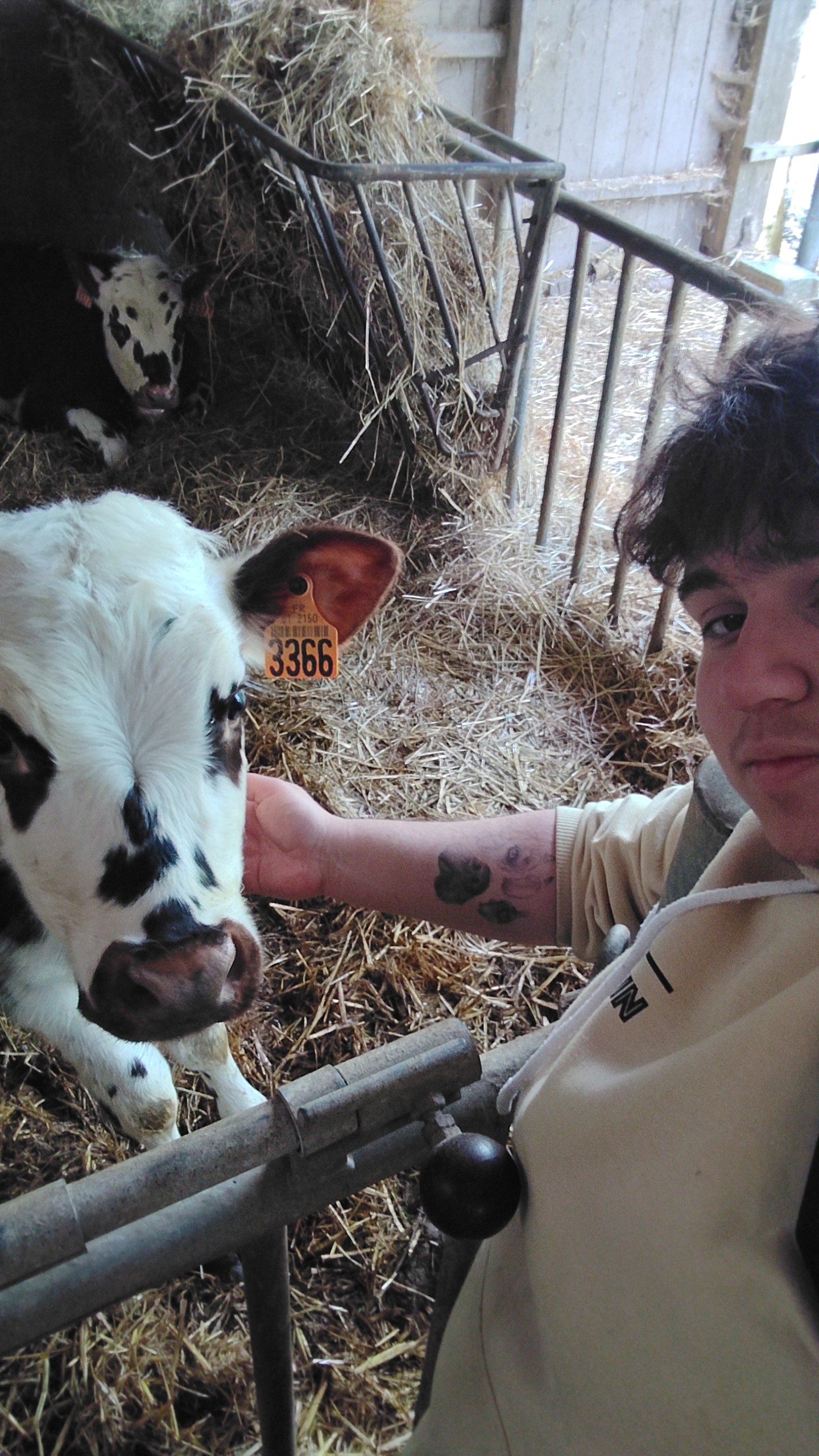 Moi et mon copain veau