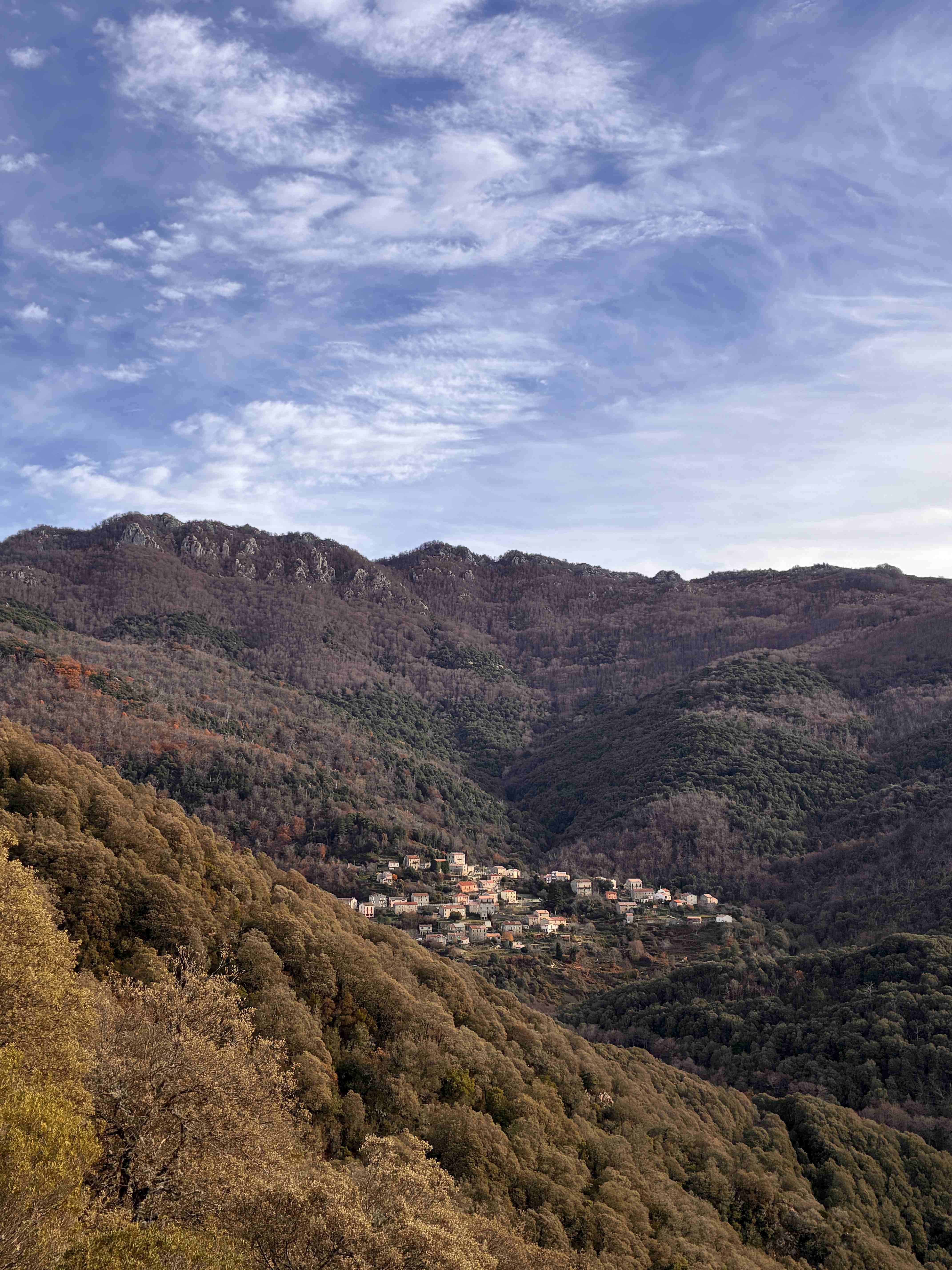 Vue de Zicavo
