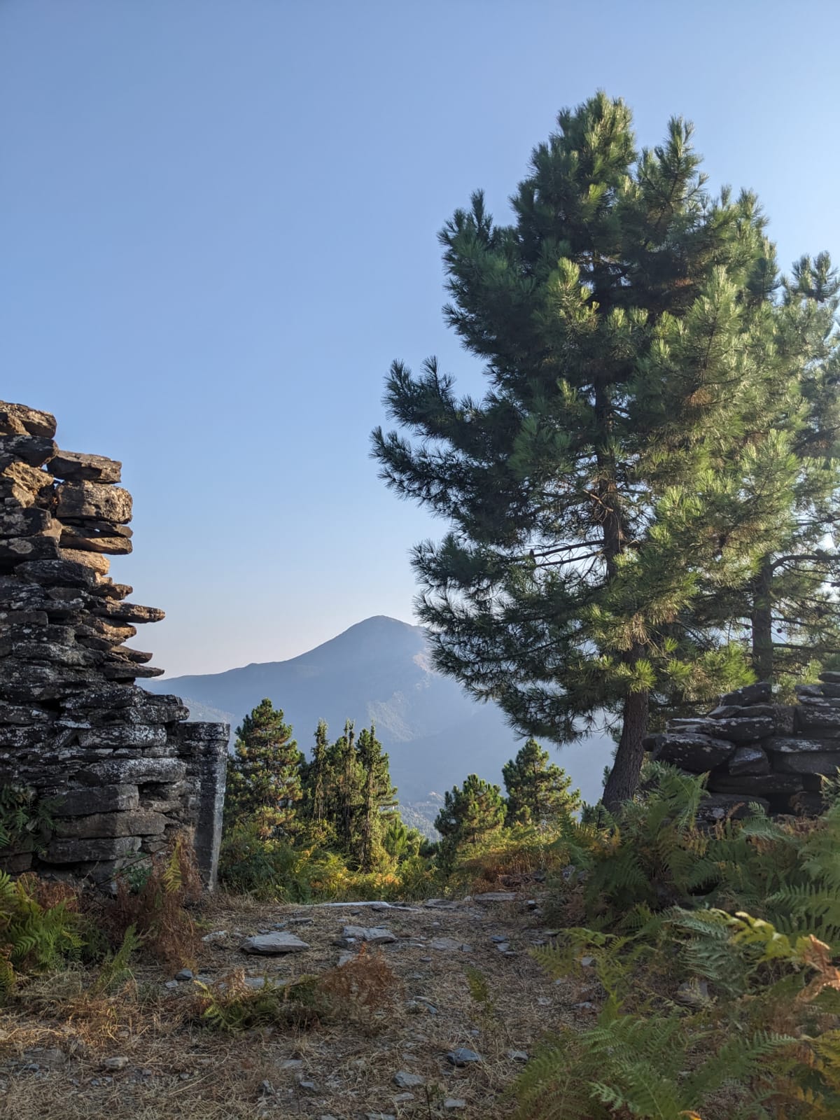 Aux ruine d'un Couvent du XIIIe, au dessus du village, caché dans le maquis