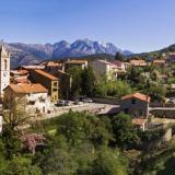 Ucciani