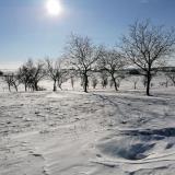 Sous la neige