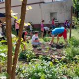 Chantier participatif de jardin