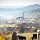 Village automne