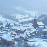 Sous la neige