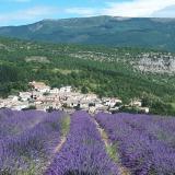 Village historique d'Antonaves