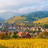 Piemont des vosges