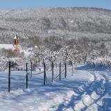Neige