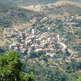 Palasca