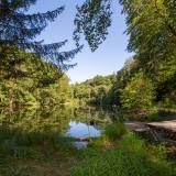 Etang