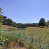 Paysage