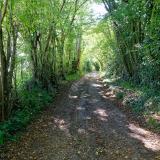 Chemins de randonnée