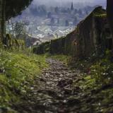 Ancy-Dornot - Sentier