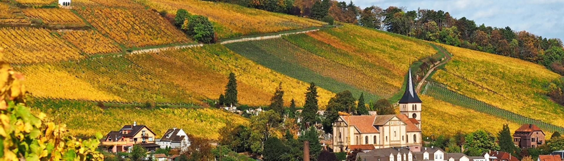 Pays de Barr