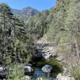 Tavignanu