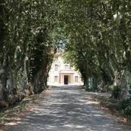 Domaine du Merle