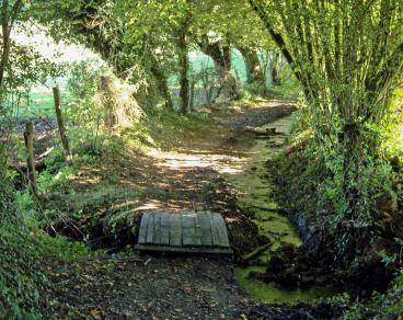Chemins de randonnée Echauffour